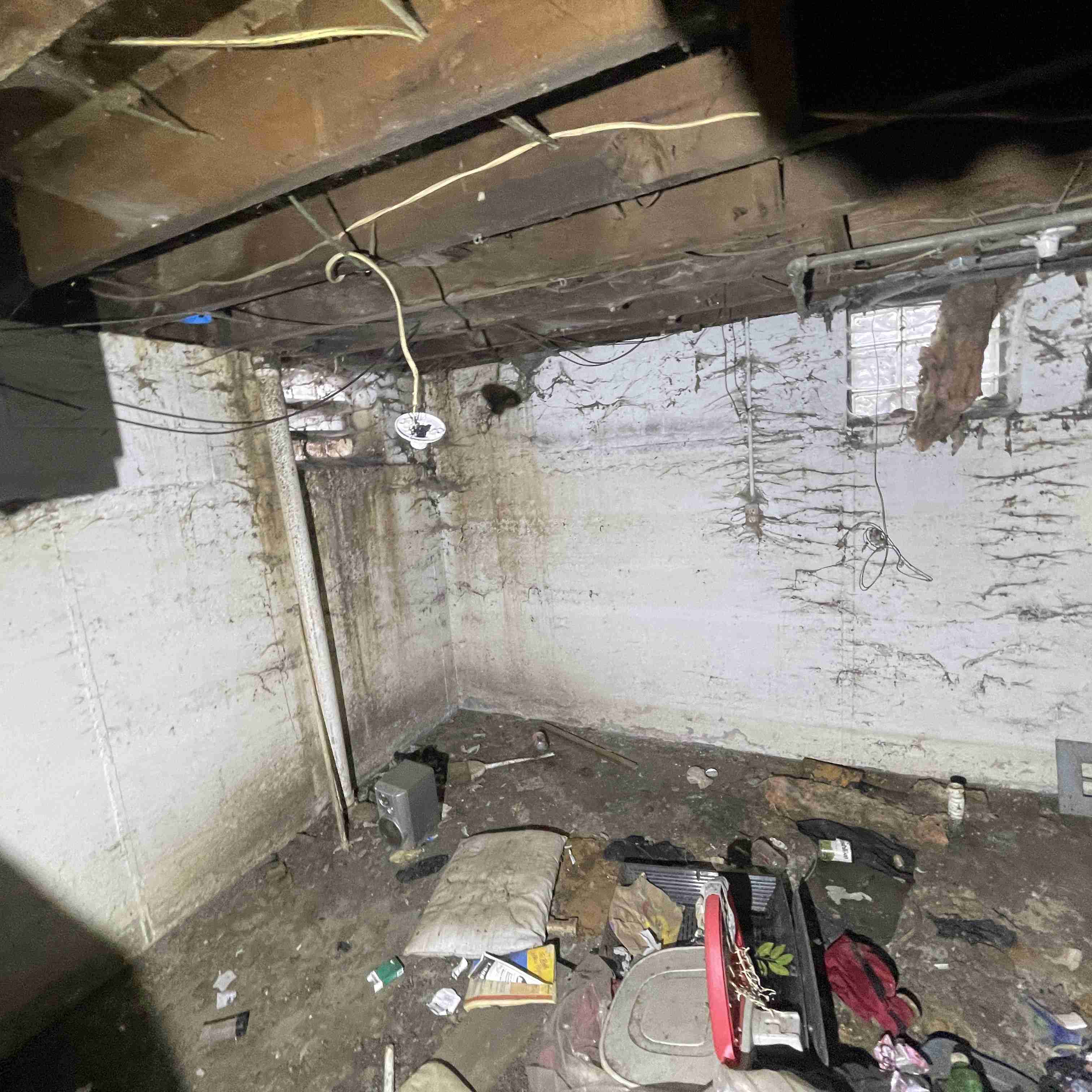 20015 Schoenherr (37).jpg